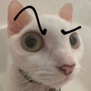 que emote for Discord