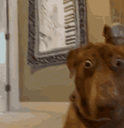 Que emote for Discord