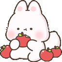 FoxNomApples emote for Discord