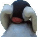 pinga_cry emote for Discord