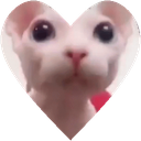 bingusHeart emote for Discord