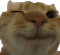 wink emote for Discord