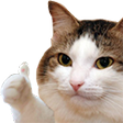 Thumb emote for Discord