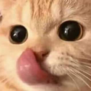 CatLust emote for Discord