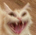 Scrary_Cat_Laugh emote for Discord