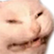 CatKek emote for Discord