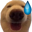 dawg_eh emote for Discord