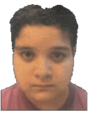 mrfentmenspinning emote for Discord