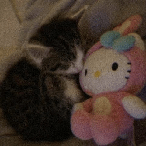hellokittyandkitty emote for Discord