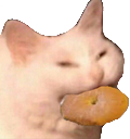 CatCookie emote for Discord