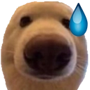 dawg_uhh emote for Discord