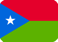 Balochistan_flag emote for Discord