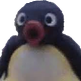 pingu_pog emote for Discord