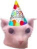 bingusbirthday emote for Discord