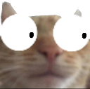 wtf emote for Discord
