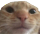 deaf emote for Discord