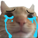 cry emote for Discord