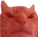rage emote for Discord