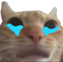 wah emote for Discord