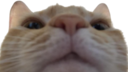 wya emote for Discord