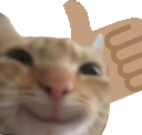 upswag emote for Discord