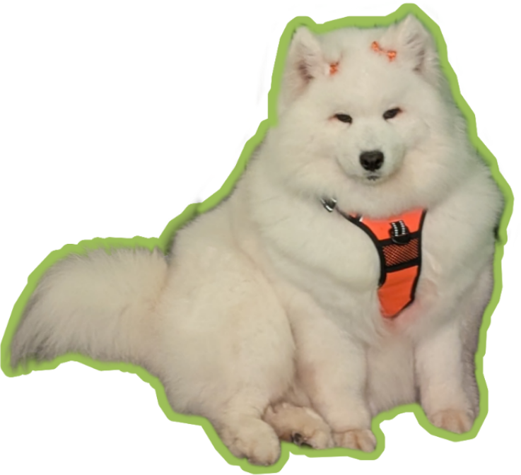 Thistledoge emote for Discord