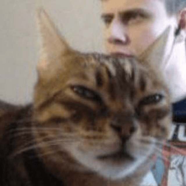 freyaWZR02 static emote