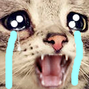 CatCry emote for Discord