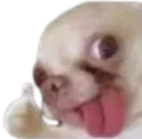 dog_like emote for Discord
