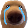 dawg_cry emote for Discord