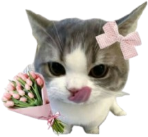 CatFlower emote for Discord