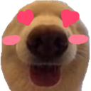 dawg_love emote for Discord