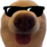 dawg_cool emote for Discord