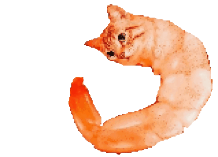 ShrimpCat emote for Discord