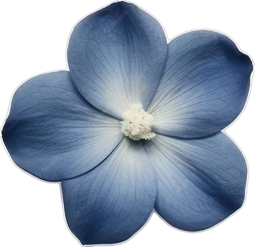 Blue_flower emote for Discord