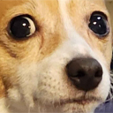 oh emote for Discord