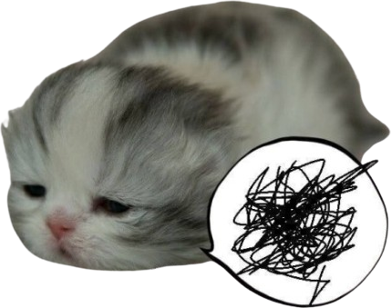 cat emote for Discord