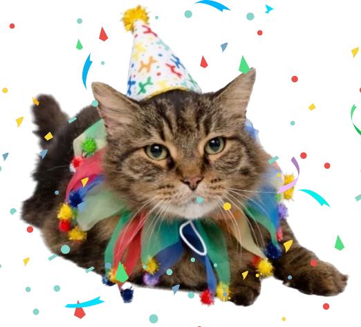 birthday_cat emote for Discord