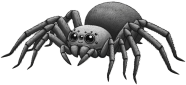Scary_spider emote for Discord
