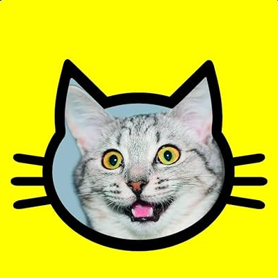 snapcat emote for Discord
