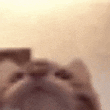 Cat_Licks_Mouth emote for Discord