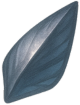 ObsidianScale emote for Discord