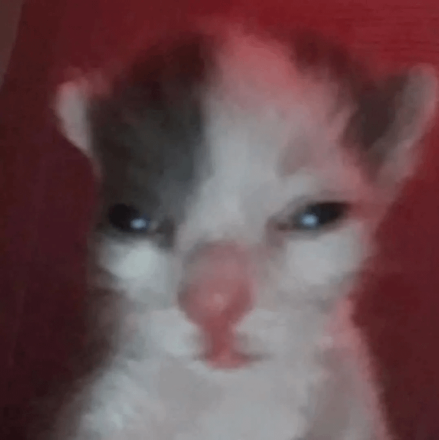 Brother_er static emote