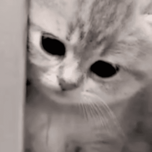 cute emote for Discord