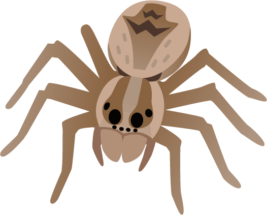 tarantula emote for Discord