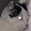 CODENAMEHURRICANEOICON emote for Discord
