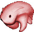 bearRun emote for Discord