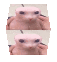 bingusCube emote for Discord