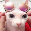 binguswag emote for Discord