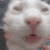 bugga emote for Discord